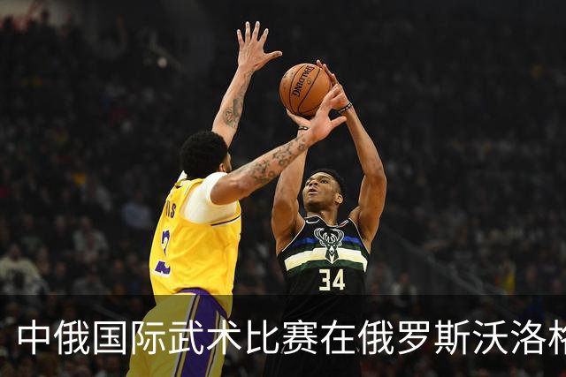 中俄国际武术比赛在俄罗斯沃洛格达开赛